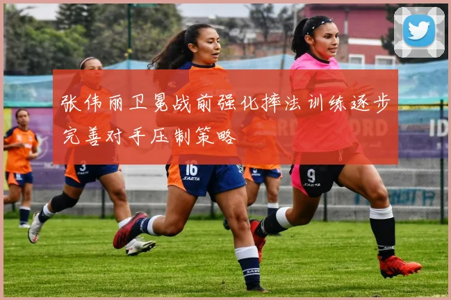 张伟丽卫冕战前强化摔法训练逐步完善对手压制策略