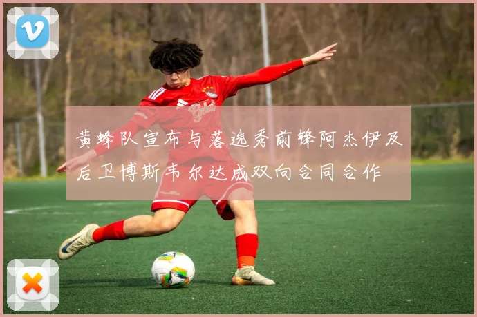 黄蜂队宣布与落选秀前锋阿杰伊及后卫博斯韦尔达成双向合同合作