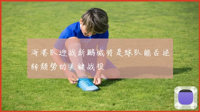 海港队迎战新鹏城将是球队能否逆转颓势的关键战役
