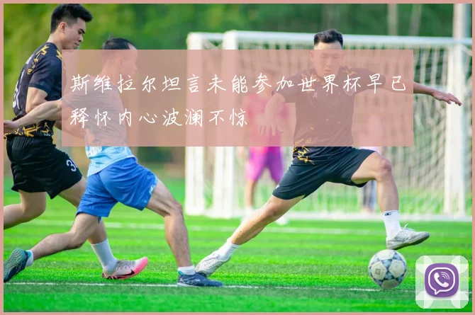 斯维拉尔坦言未能参加世界杯早已释怀内心波澜不惊